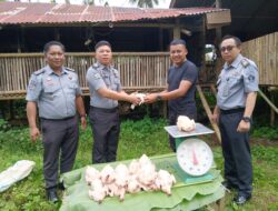 Lapas Tondano Sukses Panen Ayam Daging, Wujudkan Kemandirian WBP dan Ketahanan Pangan