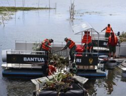 Kodim 1302/Minahasa Bersihkan Eceng Gondok di Danau Tondano