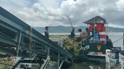 Kodim 1302/Minahasa Bersihkan Eceng Gondok di Danau Tondano