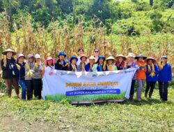 Kelompok Wanita Tani Bunda Lengkoan Ikuti Lomba Tanam Jagung Tingkat Provinsi