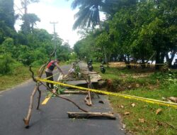 Abrasi Ancam Jalan Raya, Polisi Pasang Garis Pembatas di Pantai Bulotoan