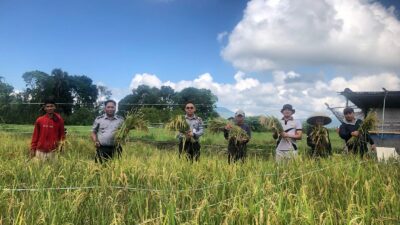 Panen Perdana di Lapas Tondano Buktikan Pembinaan Berbasis Kemandirian