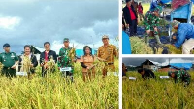 Sentuhan TNI di Bumi Minahasa, Dandim 1302/Minahasa Kawal Panen Raya, Perkuat Lumbung Pangan Lokal