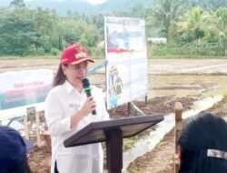 Ajak Petani Produktif, Wabup Vanda Sarundajang Hadiri Tanam Padi Bersama di Desa Touliang