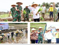 Dandim 1302/Minahasa Turun Langsung ke Sawah, Bangun Sinergi dengan Petani