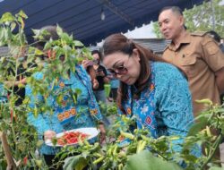 Ketua TP-PKK Minahasa: Bukan Sekadar Lomba, Hatinya PKK Perkuat Komitmen Bangun Keluarga Sejahtera