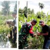 Babinsa Kodim 1302/Minahasa Turun ke Desa, Dampingi Petani dan Bina Warga Lewat Ketahanan Pangan-Wanwil