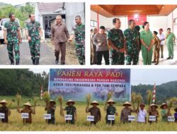 Sinergi Kodim 1302 Minahasa dan Petani Minahasa Sukses Panen Raya 5 Hektare, Perkuat Ketahanan Pangan Lokal
