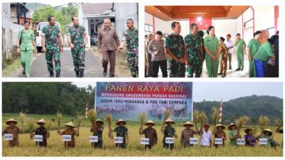 Sinergi Kodim 1302 Minahasa dan Petani Minahasa Sukses Panen Raya 5 Hektare, Perkuat Ketahanan Pangan Lokal