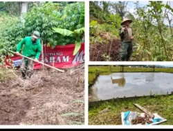 Kodim 1302/Minahasa Panen Kacang Panjang dan Kelola Kolam Ikan