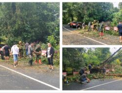 Akses Tomohon–Manado Sempat Terhambat Pohon Tumbang, Babinsa, Polsek, BPBD dan Warga Sigap Evakuasi