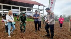 Kompak Turun ke Ladang, Kodim 1302/Minahasa dan Polres Tanam Jagung Jakarin di Tampusu
