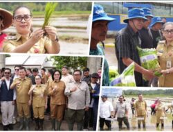Wabup Vanda Sarundajang Apresiasi Dukungan Kementan dalam Gerakan Tanam Padi di Desa Touliang