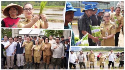 Wabup Vanda Sarundajang Apresiasi Dukungan Kementan dalam Gerakan Tanam Padi di Desa Touliang